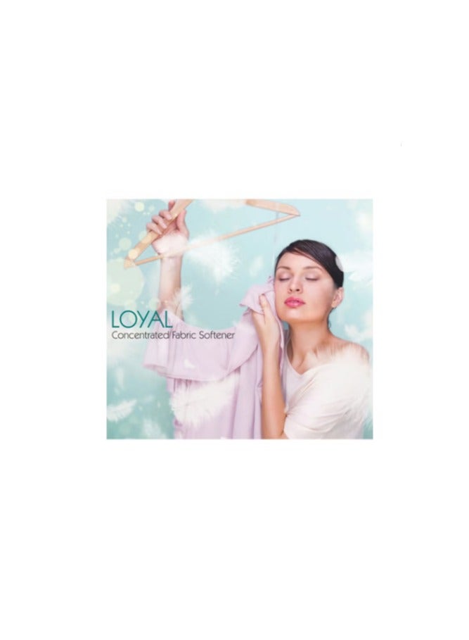 loyal Fabric Softener & Freshener Concentrated, Blue Petals 150Washes 3000ml - Image 3