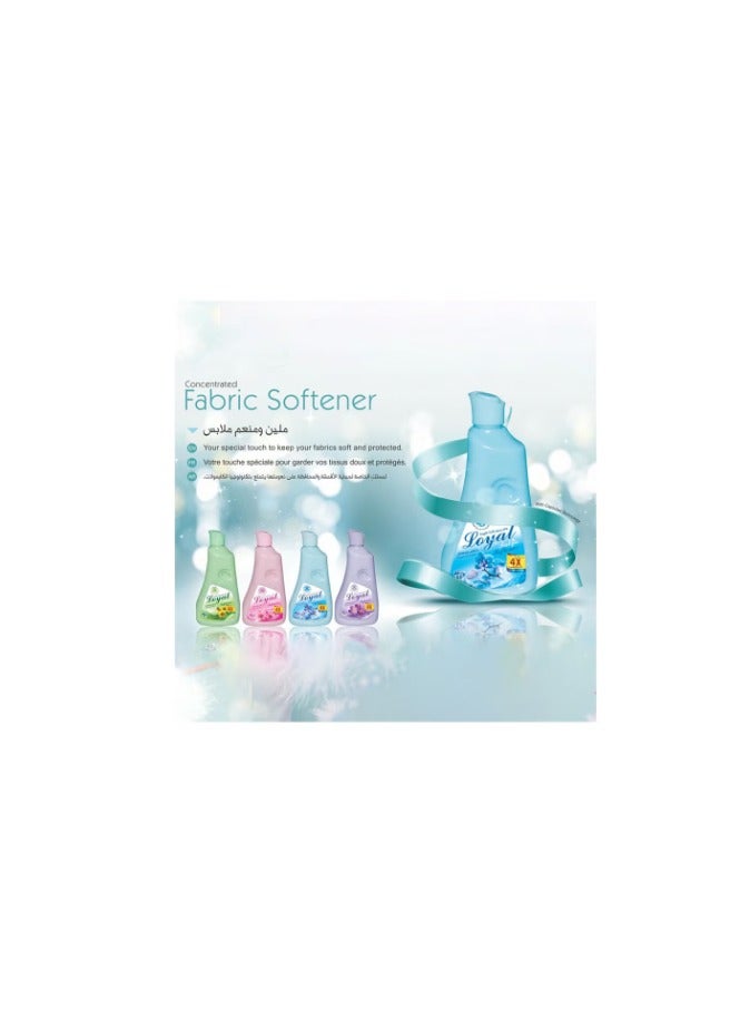 loyal Fabric Softener & Freshener Concentrated, Blue Petals 150Washes 3000ml - Image 4