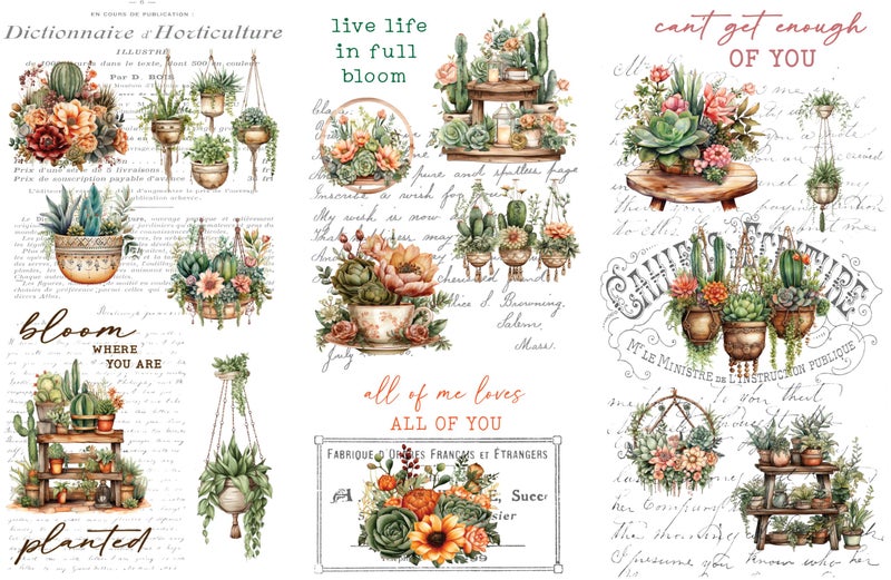 Thymeless Designs Rub on Transfers for Crafts and Furniture | 3 Design Sheets 6â€x 12â€ | Home Decor Transfers | Furniture and Craft Decals | by Thymeless Designs (Succulent Garden) - Image 1