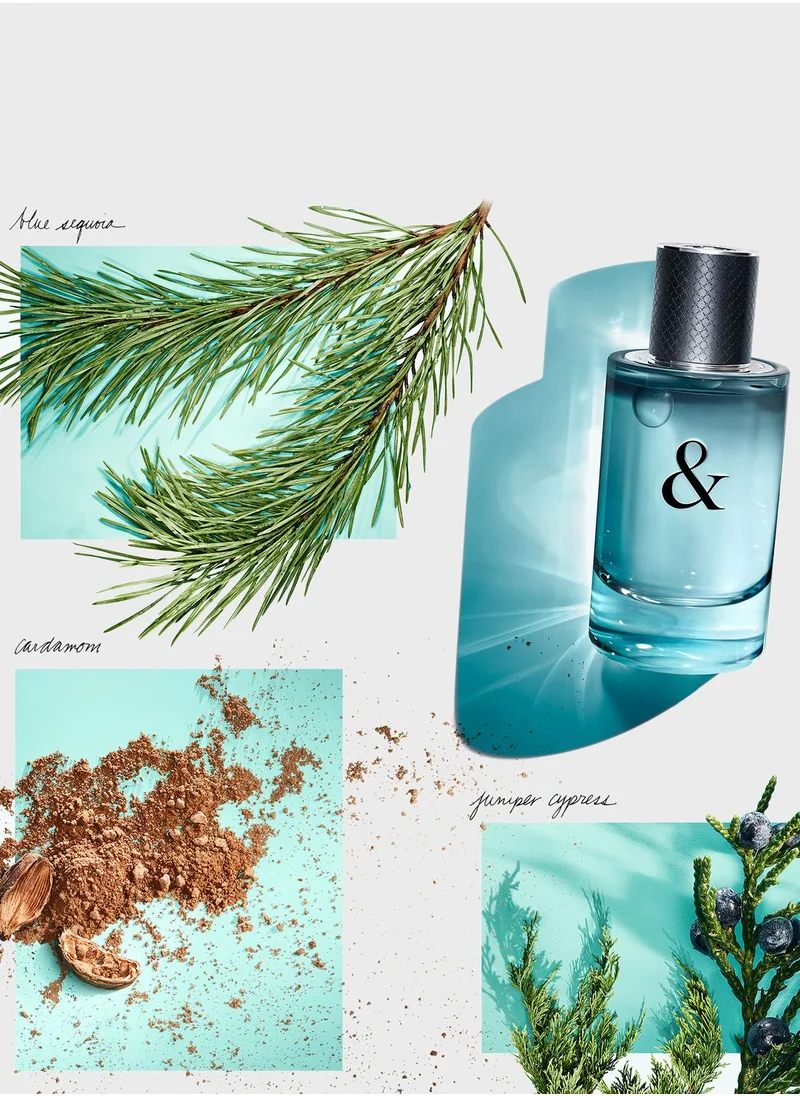 تيفاني كو عطر تيفاني اند لوف او دي توليت فور هيم 90 مل