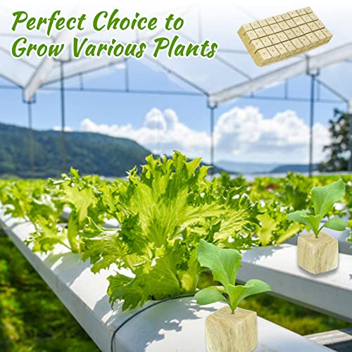 Legigo 1 Inch Rockwool Cubes Seed Starter Plugs for Hydroponics, RockWool Planting Grow Cubes for Hydroponic Tower Garden Soilless Cultivation Plants Germination Cutting Clone (6 Sheet, 300 Plugs) - Image 5