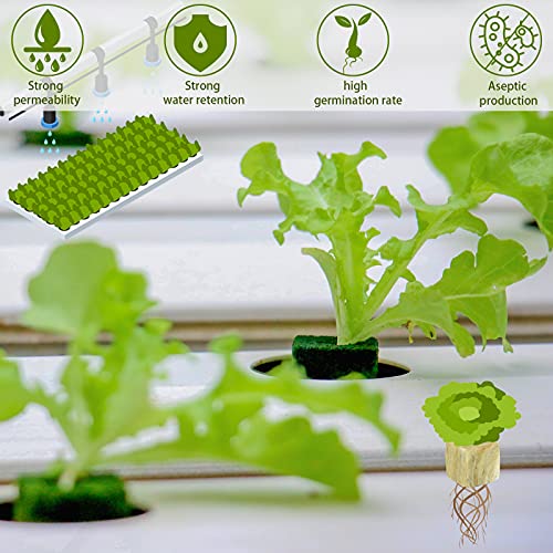 Legigo 1 Inch Rockwool Cubes Seed Starter Plugs for Hydroponics, RockWool Planting Grow Cubes for Hydroponic Tower Garden Soilless Cultivation Plants Germination Cutting Clone (6 Sheet, 300 Plugs) - Image 4