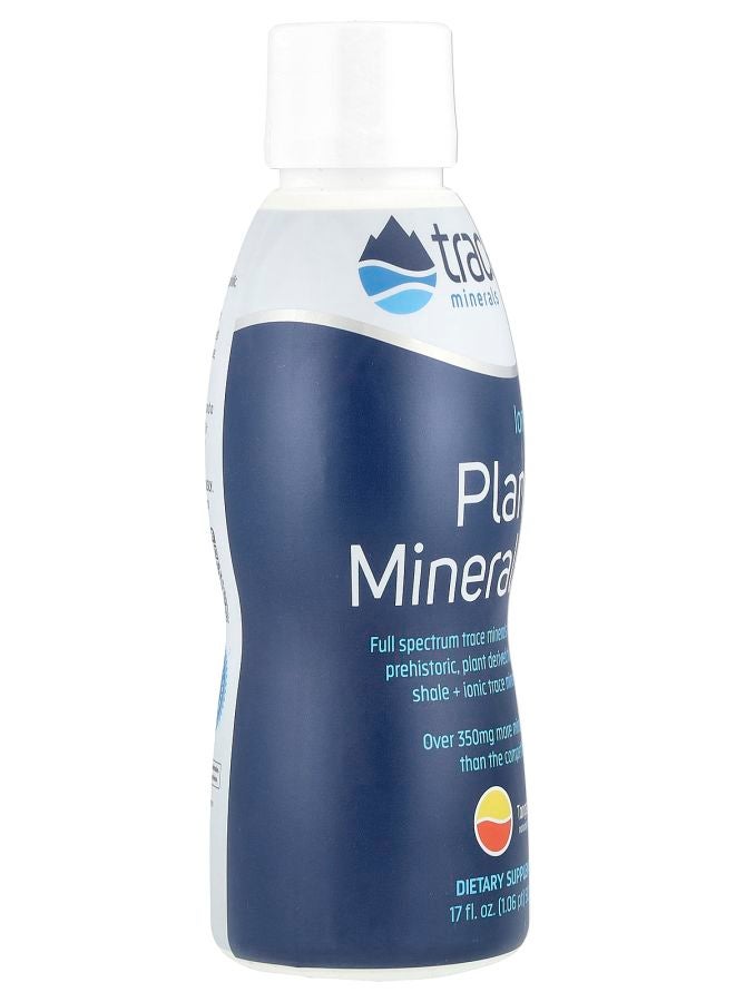 TRACE معادن النباتات الأيونية - اليوسفي 17 أونصة سائلة (503 مل) - Image 2