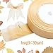 Shappy 6 Rolls Organza Ribbon Sheer Chiffon Ribbon Bulk for Wrapping Decorating Valentine Wedding Birthday Bouquet Garland50 Yard Each RollFresh Color - Image 4