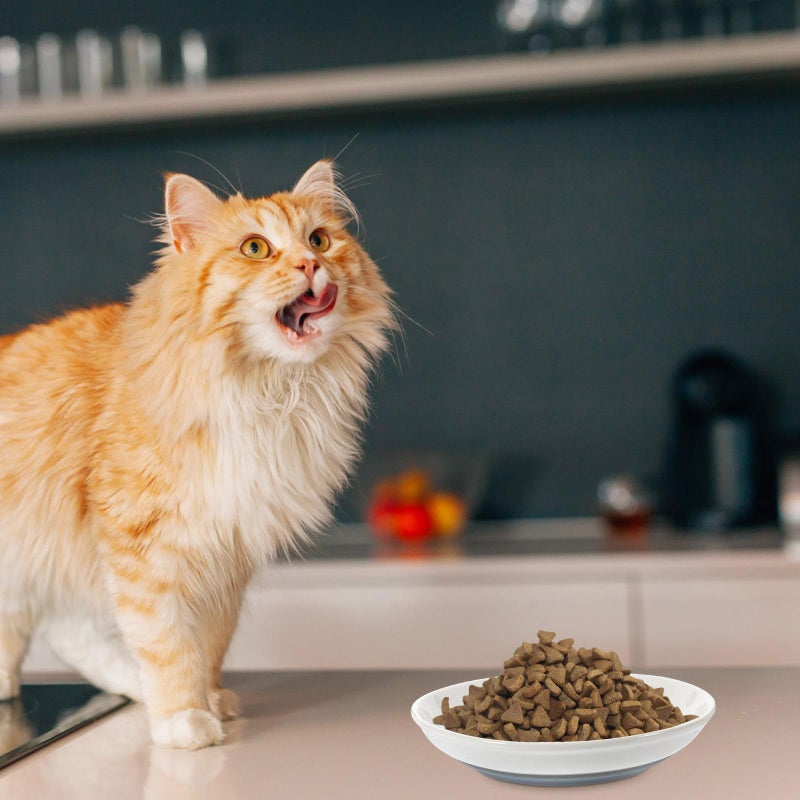 3 Piece Ceramic Cat Food Bowls with Non Slip Silicone Base for Healthy Hydration Gray - Image 5