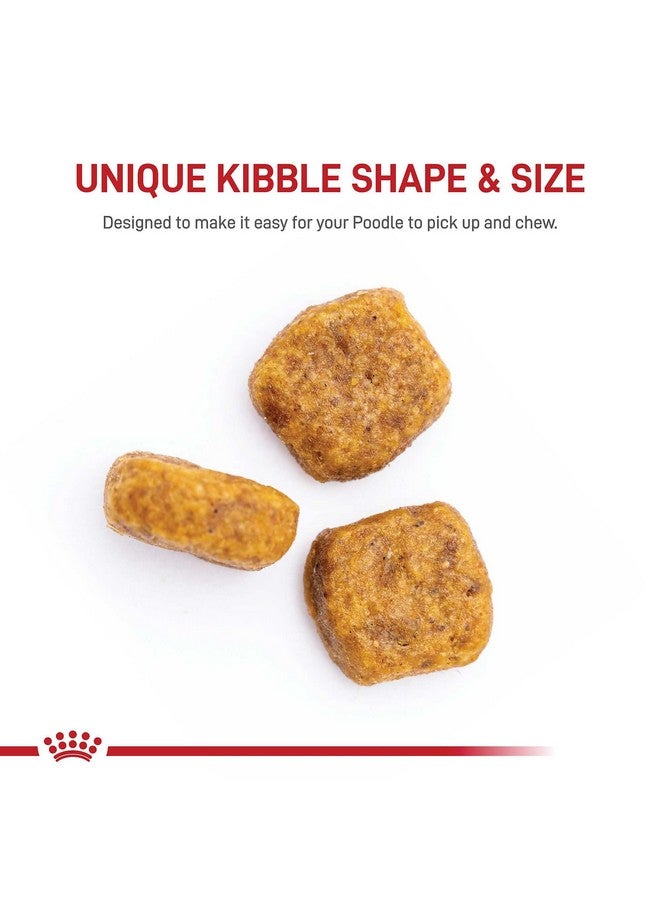 Royal Canin Poodle Adult Breed Specific Dry Dog Food, 2.5 lb bag - Image 2