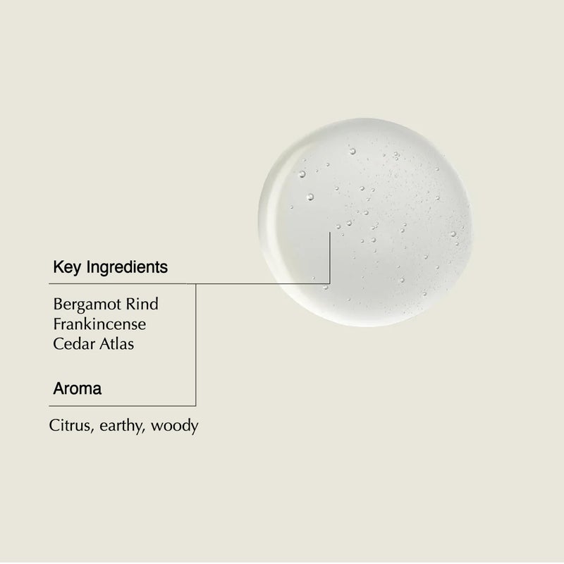 Aesop Shampoo | Soften Hair, Restore Shine | Bergamot Rind, Frankincense, Cedar Atlas | 16.9 oz / 500mL - Image 3