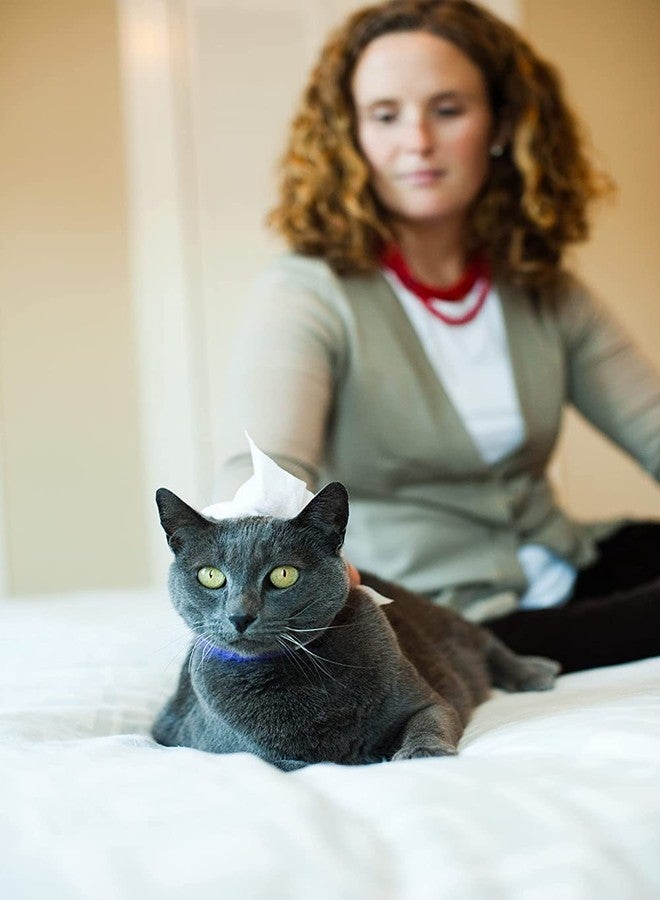 ايرث باث مناديل إيرثباث فائقة النعومة برائحة الكرز البري للجراء - مناديل لطيفة للحيوانات الأليفة لإزالة الأوساخ والروائح، ترطب وتزيل الروائح الكريهة وتنعش بين الحمامات، زيت الأفوكادو، مستخلص الأوابوهي - 30 منديل (عبوة واحدة) - Image 4