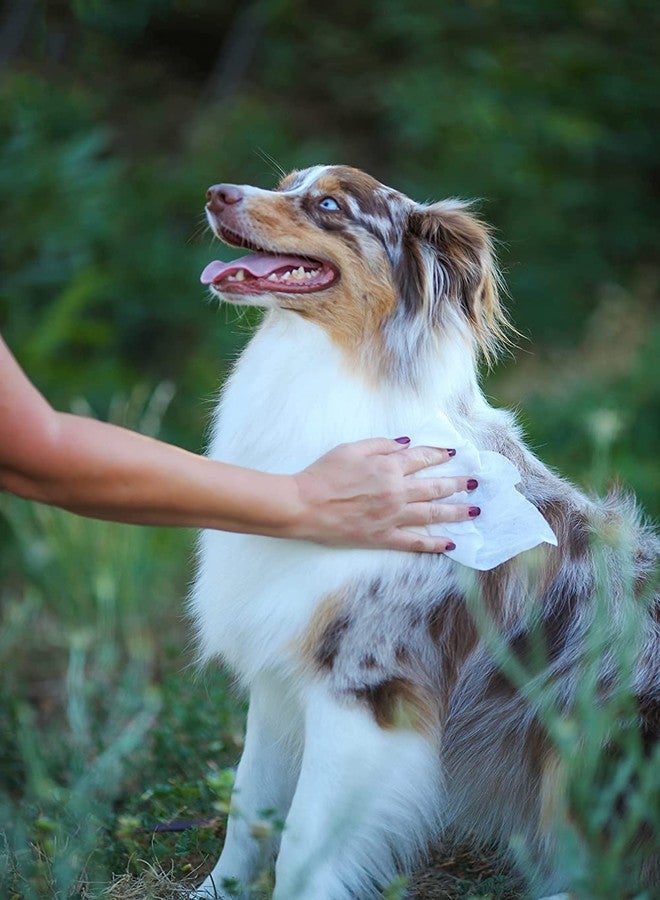 ايرث باث مناديل إيرثباث فائقة النعومة برائحة الكرز البري للجراء - مناديل لطيفة للحيوانات الأليفة لإزالة الأوساخ والروائح، ترطب وتزيل الروائح الكريهة وتنعش بين الحمامات، زيت الأفوكادو، مستخلص الأوابوهي - 30 منديل (عبوة واحدة) - Image 3