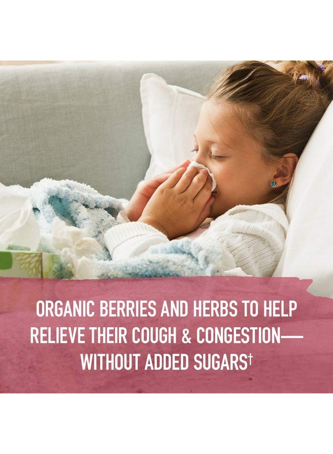 Garden of Life Garden of Life Organics Elderberry & Zinc for Children's Immune Support, Kids Cough & Mucus Immune Syrup with Ivy Leaf, Vitamin C and Echinacea, Alcohol-Free, No Added Sugars, 3.92 fl oz  - Image 3