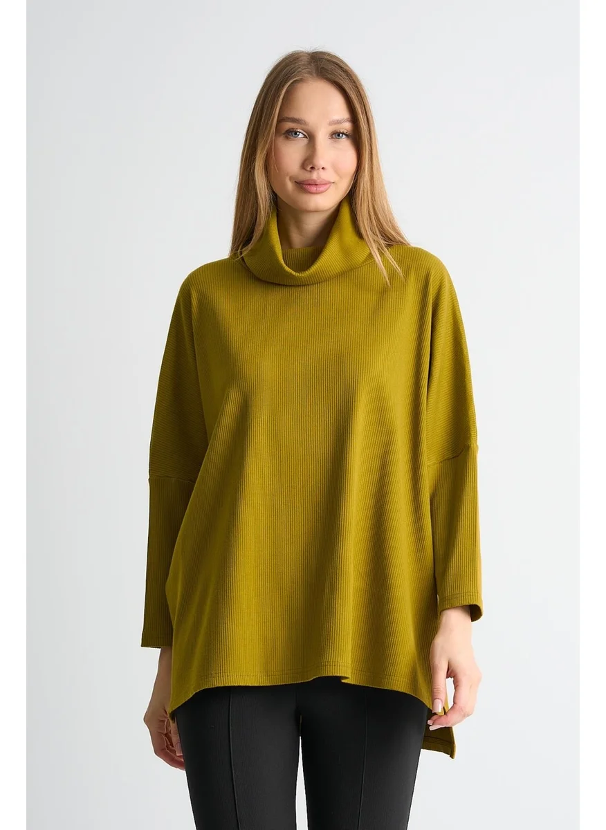 Alexander Gardi Alexandergardi Turtleneck Thin Knit Sweater(B24-36603)