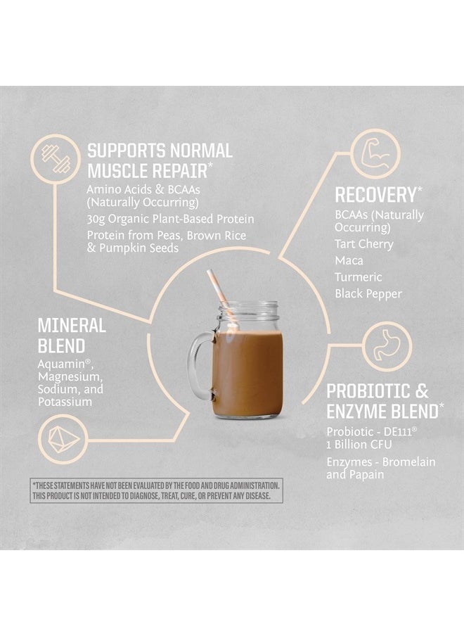 Sunwarrior Vegan Protein Powder USDA Organic | BCAA Sugar Free Gluten Free Non-GMO Dairy Free | Chocolate 20 Servings | Sport Organic Active Protein  - Image 4