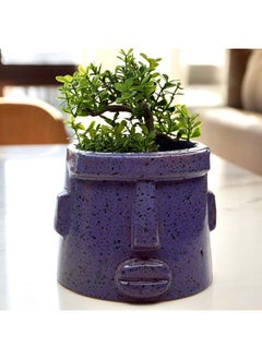 HomePro Pottery Pot Purple 