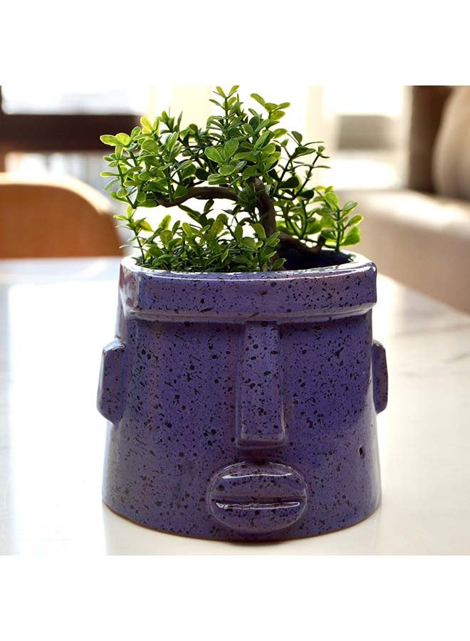HomePro Pottery Pot Purple 