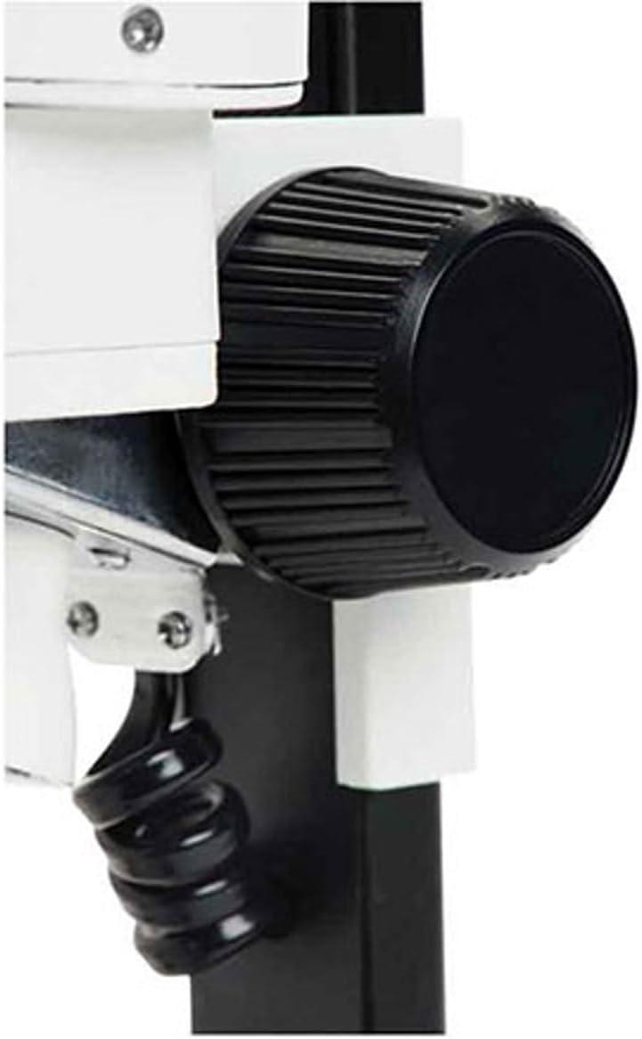 Celestron – Labs – Binocular Stereo Microscope – 20x Magnification – Upper LED Illumination – Includes 2 Specimens - Image 3