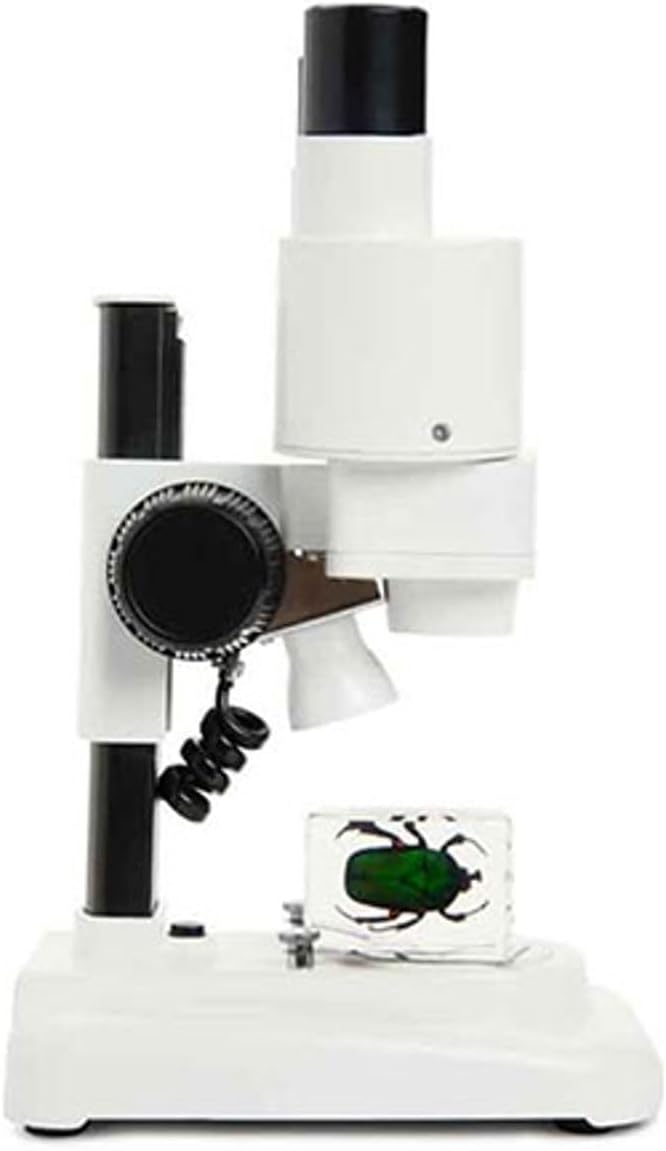 Celestron – Labs – Binocular Stereo Microscope – 20x Magnification – Upper LED Illumination – Includes 2 Specimens - Image 4