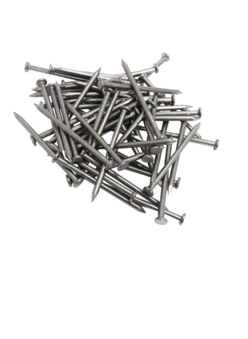 High Strength Round Head Nails For Carpentry Hardware Electrical Etc (75, 3 inch) - Image 2