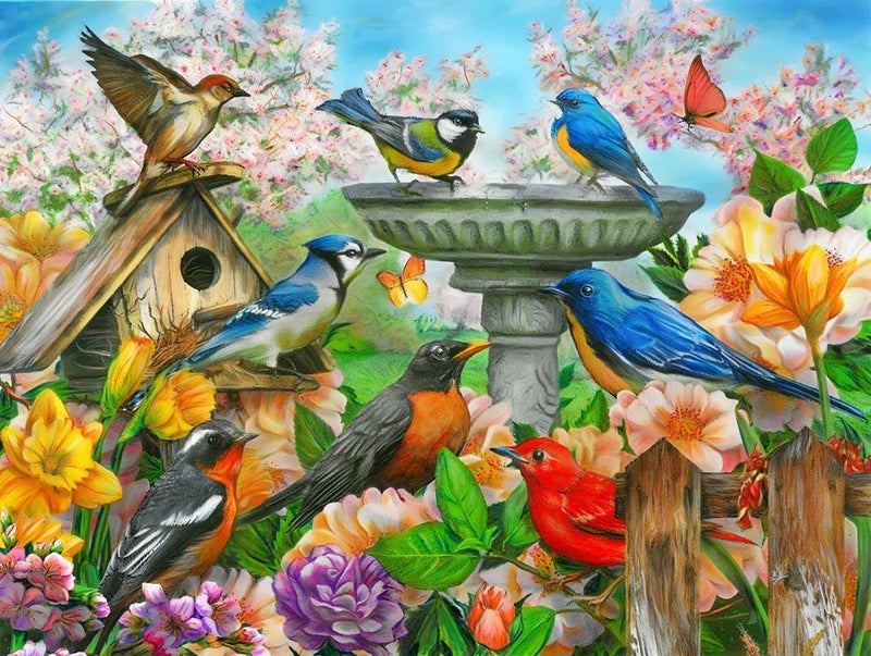 Springbok Bird Bath 500 Piece Jigsaw Puzzle for Adults Unique Cut Pieces Made in USA - Image 3