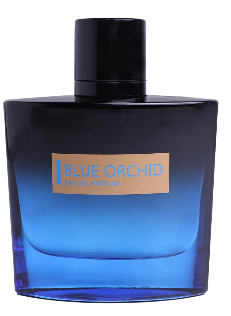 PASSING SHOW PERFUMES PASSING SHOW PERFUMES Blue Orchid Eau De Parfum 100ML  - Image 1