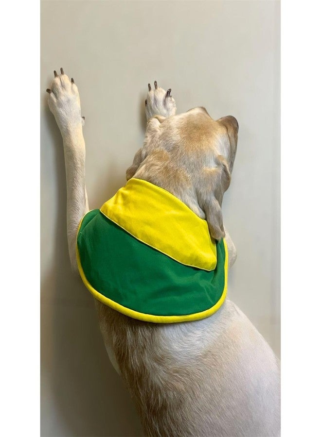 Lulala Pet Dog Cape Collar - Stylish Green & Yellow Neckwear with Rap Bear Print | Soft Hosiery Fabric, Velcro Closure | Comfortable & Cute Accessory for Medium & Large Dogs (Large) - Image 4
