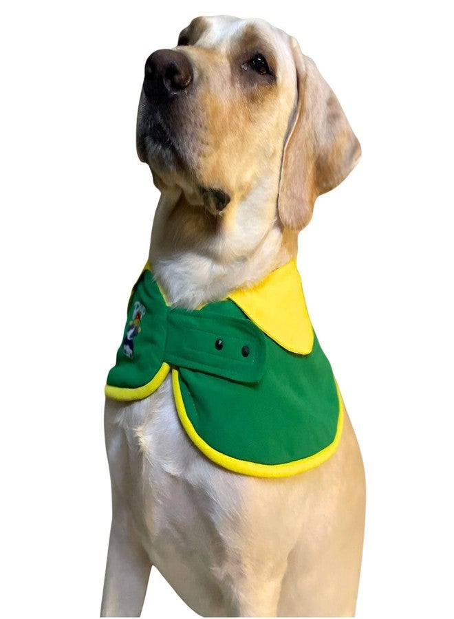 Lulala Pet Dog Cape Collar - Stylish Green & Yellow Neckwear with Rap Bear Print | Soft Hosiery Fabric, Velcro Closure | Comfortable & Cute Accessory for Medium & Large Dogs (Large) - Image 2