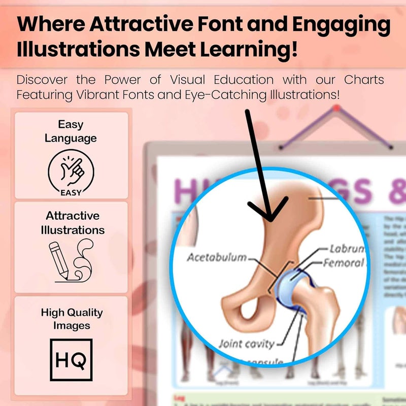 GoWoo SHOULDER, ARMS AND HANDS chart and HIPS, LEGS AND FEET chart | combo of 2 chart | Strengthen Your Upper and Lower Body with Shoulder, Arms, Hands, Hips, Legs, and Feet Exercises - Image 5