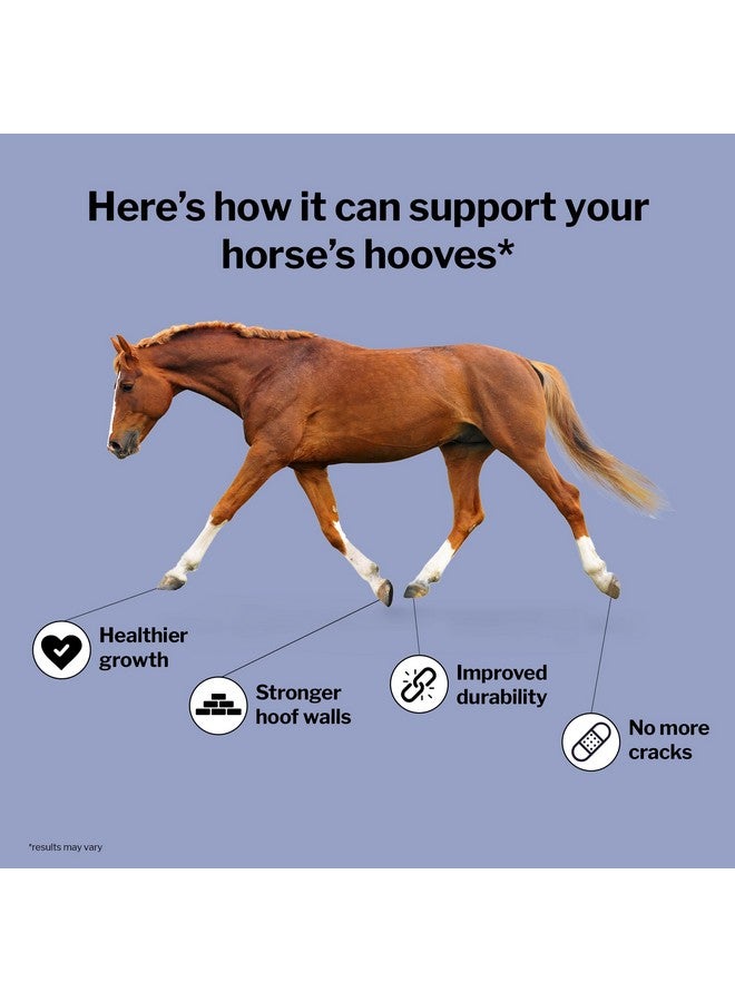 Formula 707 Formula 707 Hoof Health Equine Supplement, 10 lb Bag - 160 Servings - Biotin, Amino Acids, and Minerals to Improve and Support Healthy Horse Hooves  - Image 3