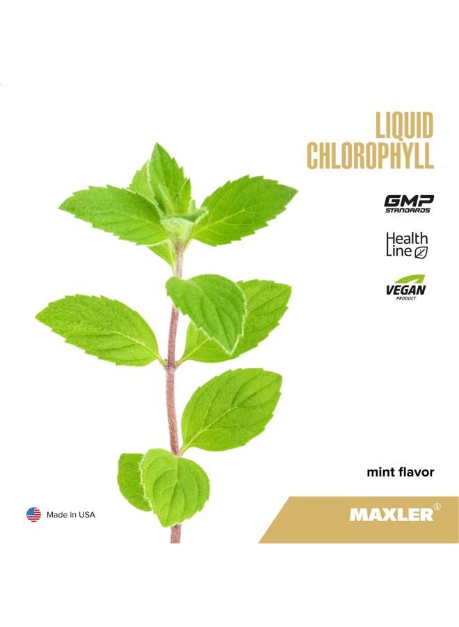 MAXLER Chlorophyll Liquid Mint Flavor - Internal Deodorant for Body Odor & Bad Breath Supplement - Vegan Liquid Chlorophyll - 132 mg of Chlorophyllin per 1 Serving (15 Servings) - 15.2 fl oz - Image 2