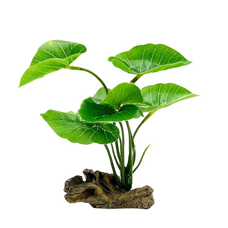 Smoothedo-Pets Fish Tank Decor Aquarium Decorations Ornaments Betta Leaf pad Hammock 6inch Plastic Artificial Plant Goldfish Fish Hides Small Tank/Reptiles Plants Driftwood (Green-Type-A) - Image 1