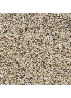 HigginS Higgins 2 Pack of Vita Seed Natural Blend Canary Food, 2 Pounds Each  - Image 2
