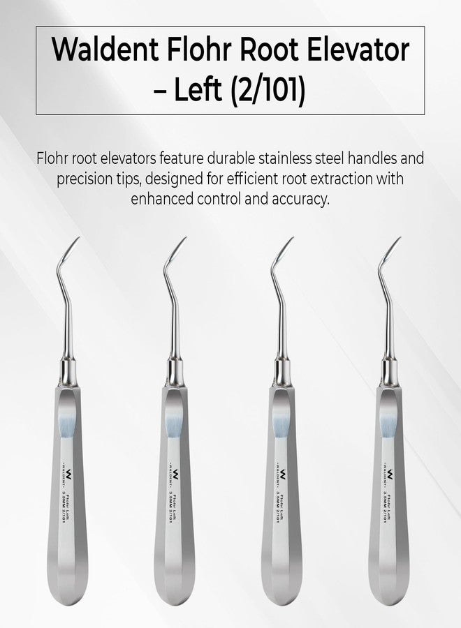 WALDENT رافعة جذر الأسنان Waldent Flohr - يسار (2/101) | أداة خلع أسنان لرفع شظايا الجذر | طرف دقيق | فولاذ مقاوم للصدأ | أداة جراحية قابلة لإعادة الاستخدام والتعقيم - Image 2