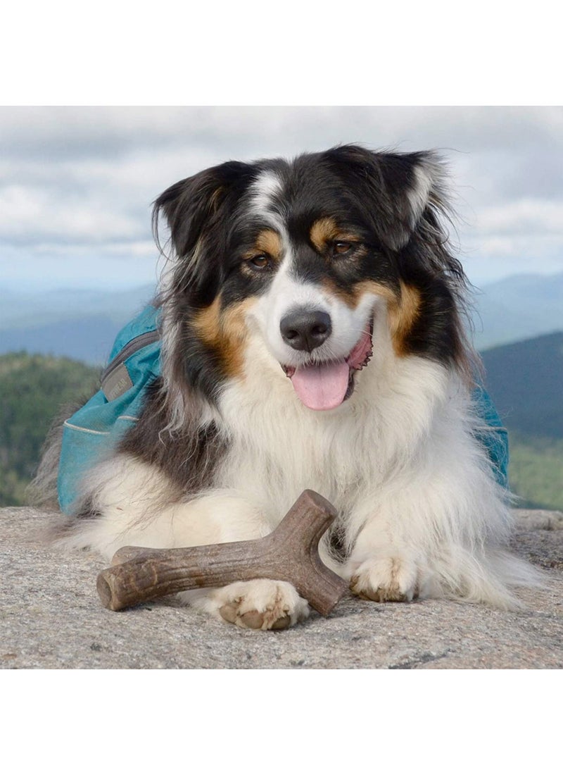 Benebone Maplestick Chew Dog Toy - Image 3