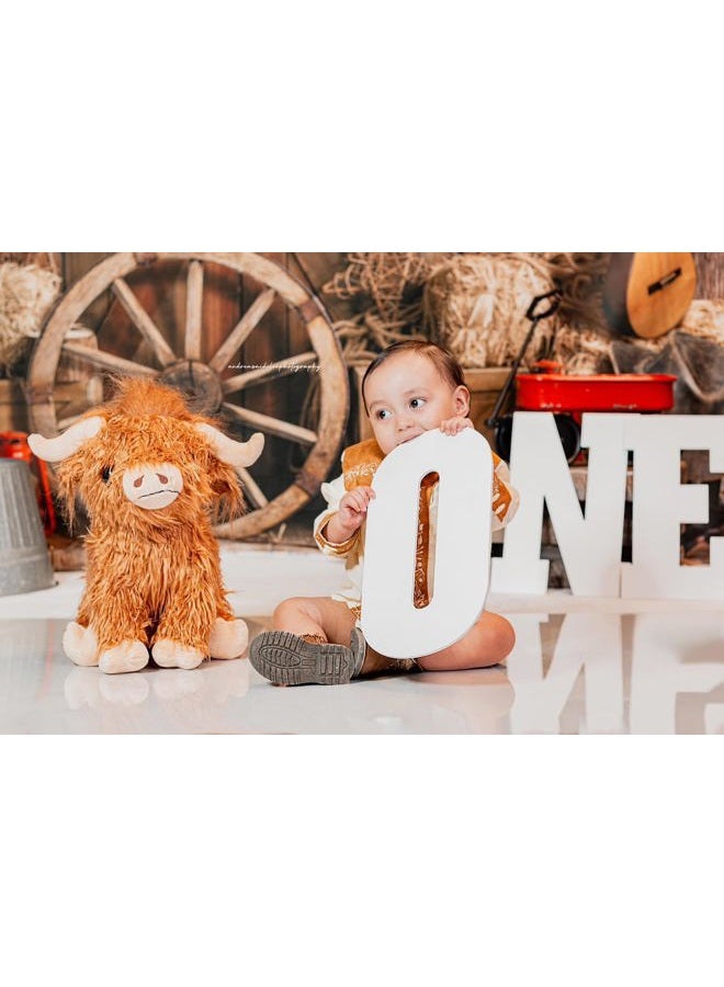 Kate Western Cowboy Backdrop Western Party Decorations Barn Door Wooden Rodeo Photography Background, 7x5ft - Image 3