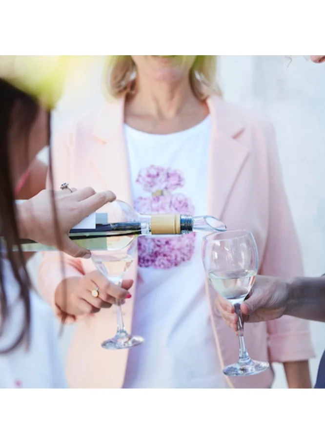 بوينت-فيرجول مبرد نبيذ ستانلس ستيل