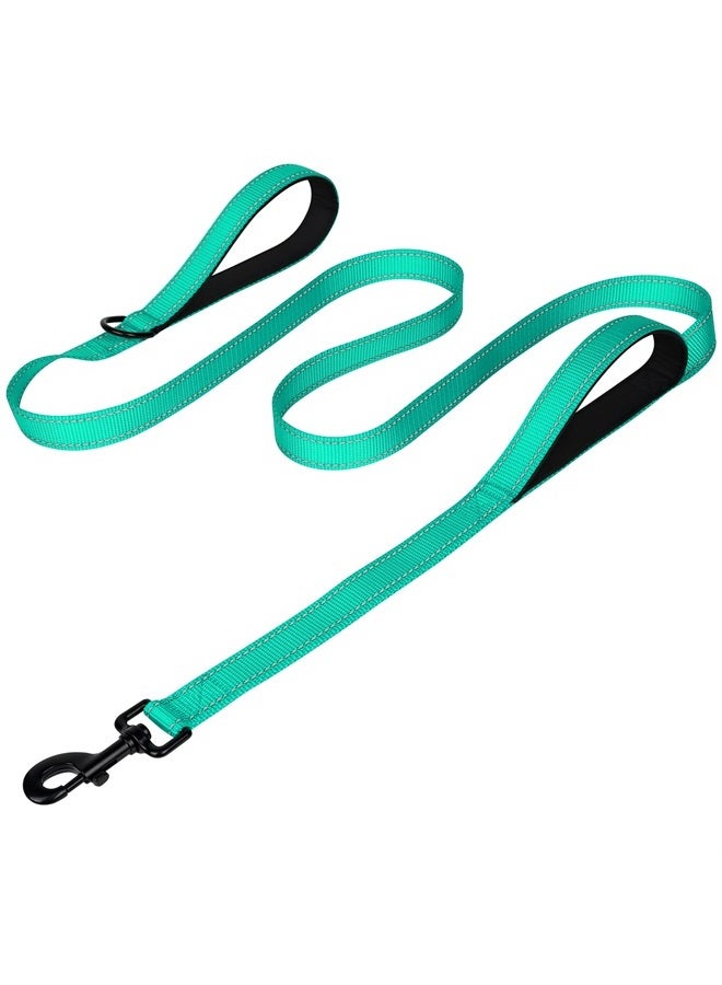 Joytale Double Handle Dog Leash, Double-Sided Reflective Dog Leashes for Night Safety, Heavy Duty Leash for Large and Extra Large and Medium Breed Dogs Outside Walking,5FT,Teal - Image 1