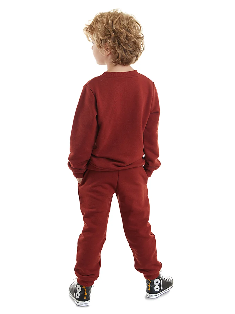 Denokids Tiger Boy Burgundy Tracksuit
