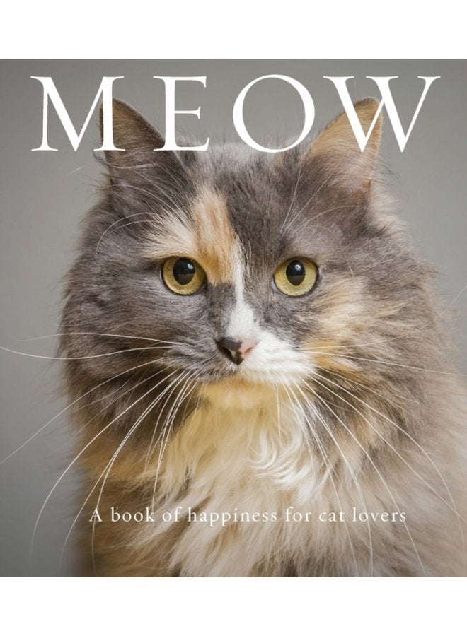 Meow A Book of Happiness for Cat Lovers - Paperback