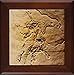 3DROSE 3dRose ft_16716_1 Archaeopteryx from The Jurasic Germany-Framed Tile, 8 by 8-Inch - Image 2