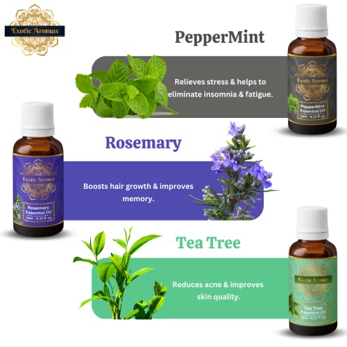Exotic Aromas Essential Oil Lavender, Rose, Tea Tree, Jasmine, Ylang Ylang, Orange, Lemongrass, Peppermint, Rosemary, Pure & Natural (Pack of 9) - Image 4