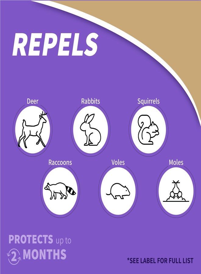 Bonide 237 Ready-to-Use Repels All Rodents, 32-Ounce - Image 3