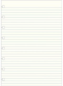 Filofax A5 Notebook refill - ruled paper white 