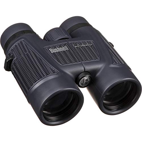 Bushnell H2O Waterproof/Fogproof Roof Prism Binocular 8 x 42-mm AD - Image 1