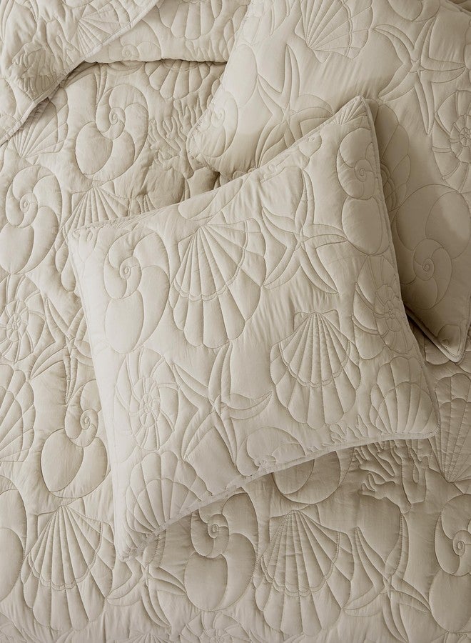 WDCOZY Coastal Beach Beige Queen Size Quilt Bedding Sets, Nautical Tropical Ocean Bedspread, Scallop Seashell Soft Coverlet, Lightweight Summer Thin Comforter for All Season - Image 4