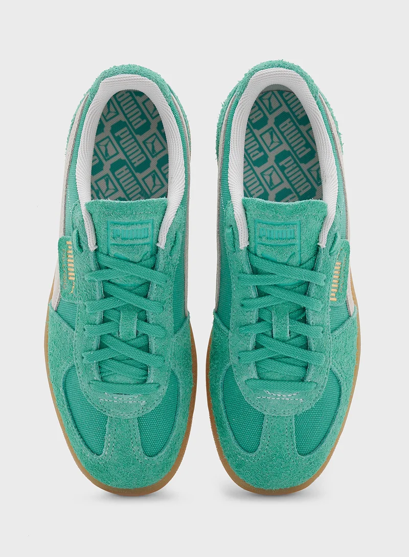 PUMA Palermo Vintage