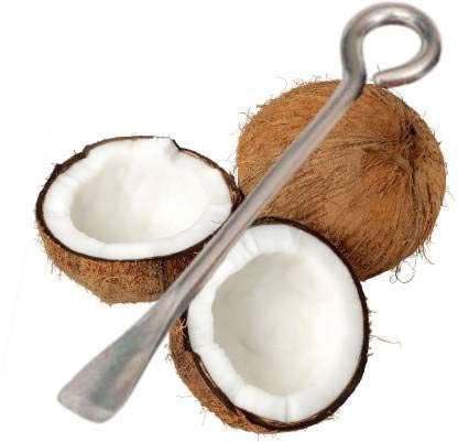 Pass passStainless Steel Coconut Breaker with Coconut Opener | Heavy-Duty Coconut Cutting & Opening Tool for Home Kitchen | Durable & Rust-Free (Pack of 2) - Image 3