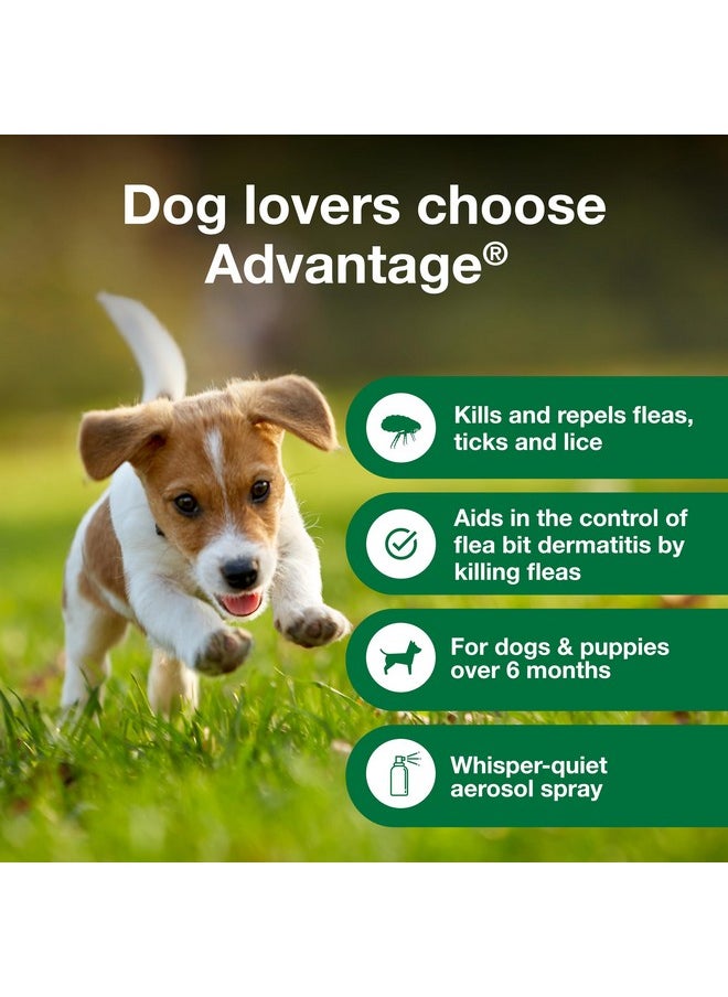 Advantage Advantage Dog Flea Treatment Spray | Kills Fleas & Ticks | Dog Flea Spray | 15 oz.  - Image 2
