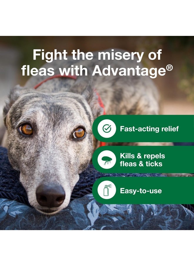 Advantage Advantage Dog Flea Treatment Spray | Kills Fleas & Ticks | Dog Flea Spray | 15 oz.  - Image 5