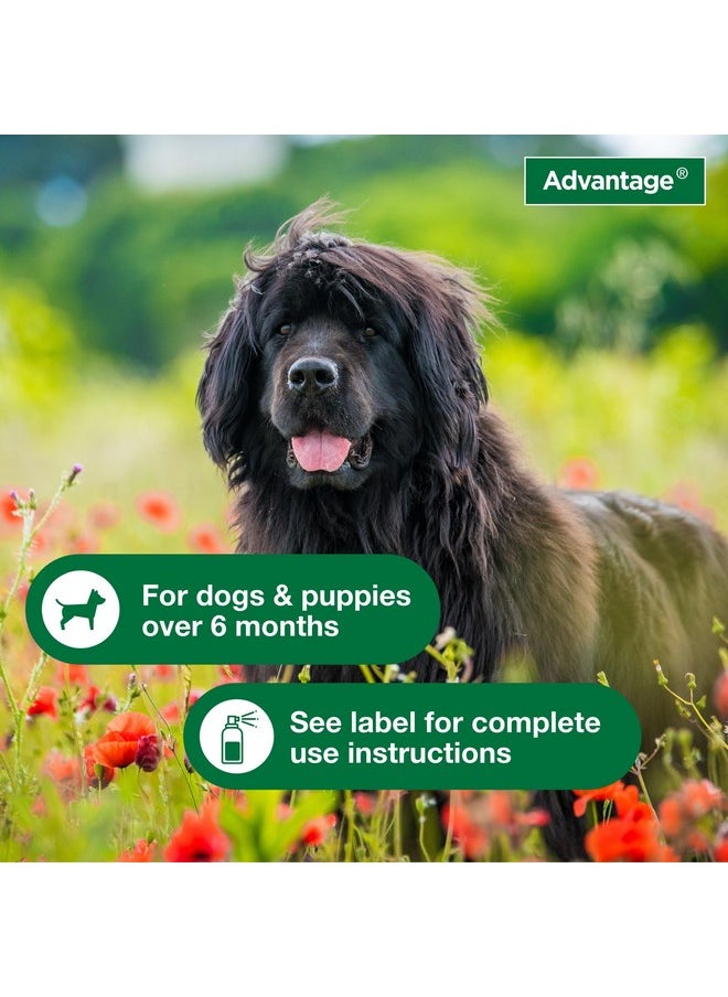 Advantage Advantage Dog Flea Treatment Spray | Kills Fleas & Ticks | Dog Flea Spray | 15 oz.  - Image 4