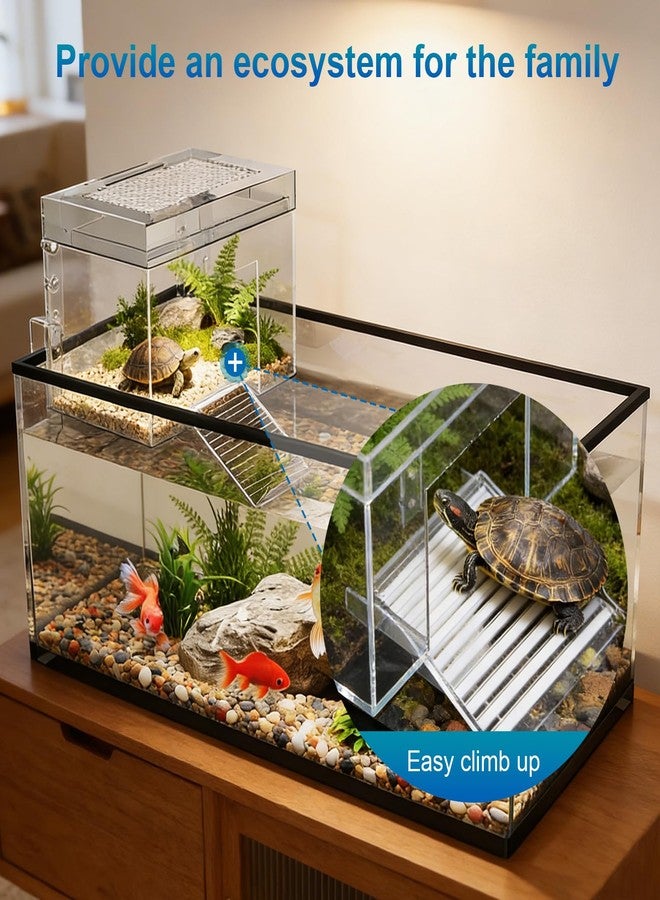 TAOKEKE Adjustable Turtle Basking Platform, 7.8 x 5.5 x 5.5 Inch Above Tank Topper with Ramp for Small and Medium Aquatic Turtles, Transparent Acrylic Turtle Aquarium Dock Accessories - Image 4