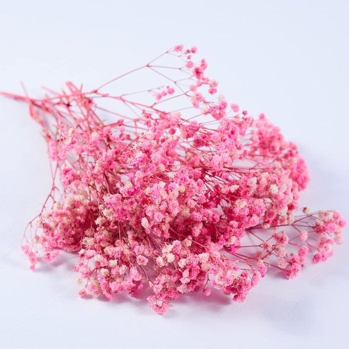 PRESERVED BABYS BREATH 3 BUNCHES 100 NATRUAL FRESH GYPSOPHILA LONG LASTING FLOWERS FOR VASE ARRANGEMENTS HOME DECORATION PHOTO PROPS PARTIES AND WEDDINGS DIY DCORPINK